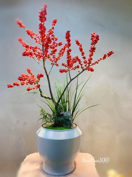 幸运好礼丨蝴蝶兰 or 冬青盆栽（含盆器+市中心免费配送） 商品图2