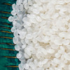 素食猫东北特产珍珠米50千克/袋 商品缩略图1