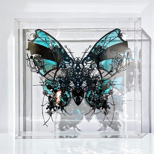 夏航《俱飞浮碟》99版 商品图1