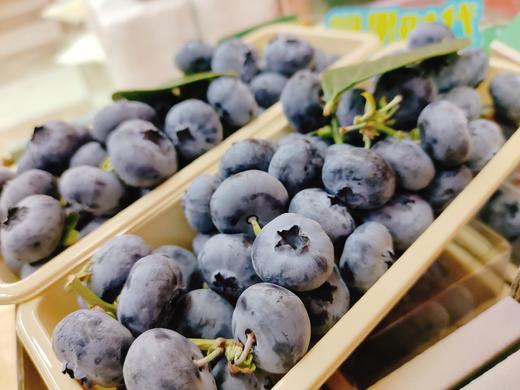 巨无霸串蓝莓一盒 商品图2