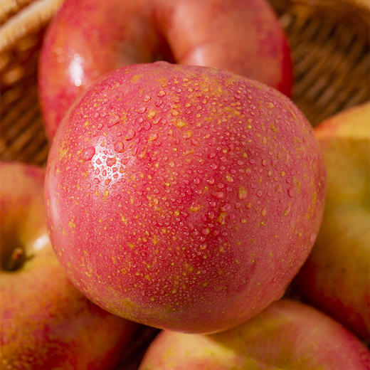 预售【功夫苹果】等了六年才能吃到的苹果！果香四溢，爆甜爽脆！对标日本青森苹果种植！品味高端美味水果，生活就要与众不同！丁苹果 商品图13