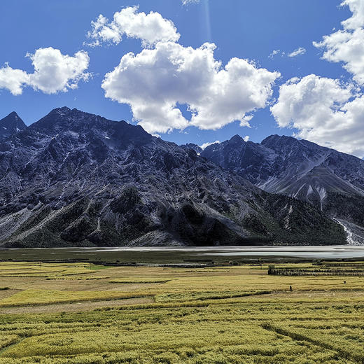 自营-有机糯香皮燕麦片610g 商品图4