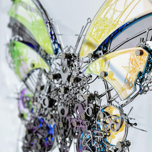 夏航《俱飞浮碟》99版 商品图3