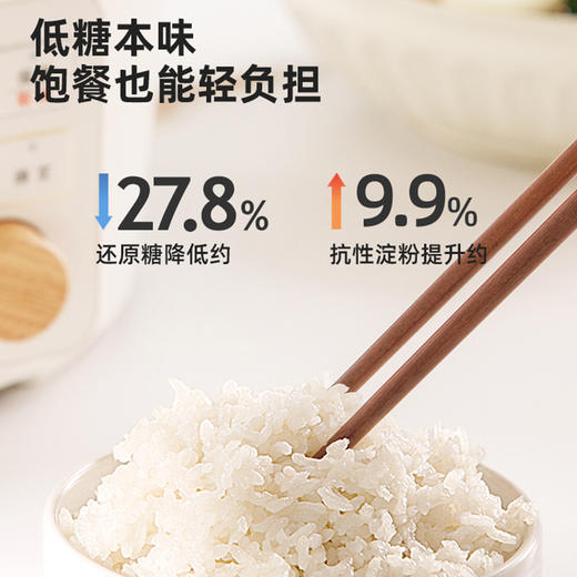 【高压低糖电饭煲】IRIS爱丽思电压力锅家用小型爱丽丝智能电高压锅电饭煲低糖款 商品图1
