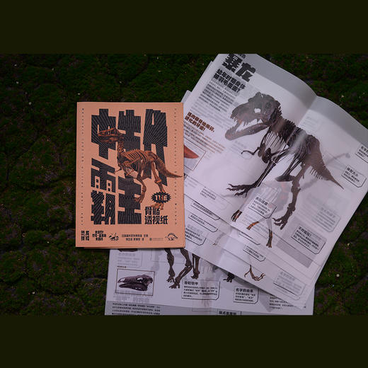 《恐龙有绝招》 商品图1