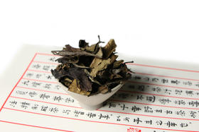 2022年紫芽白（古树白茶）