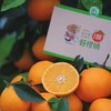 生态橘子 50年三代人 只为一颗好柑橘 6斤装 商品缩略图5