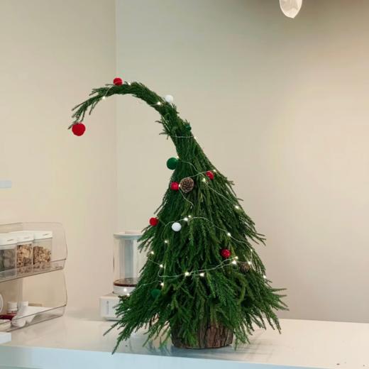 天竺少女丨配叶 商品图3