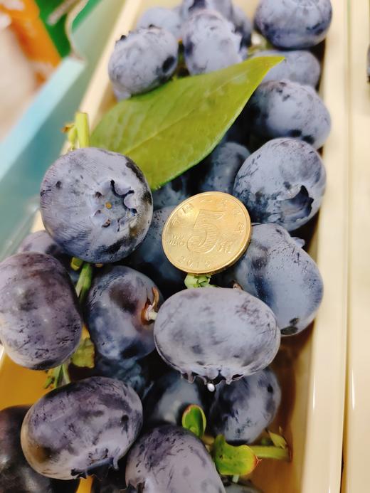 巨无霸串蓝莓一盒 商品图1