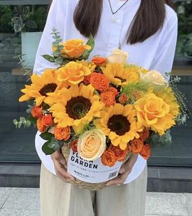 沐阳--向日葵抱抱桶