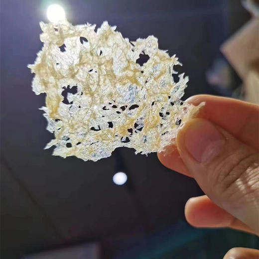 丨有机丨本草银耳 免洗免泡、出胶快、胶质浓稠，气味清香，口感软糯 商品图6