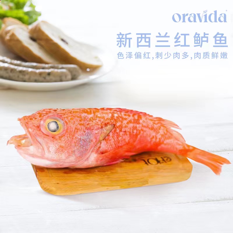 新西兰原装进口兰维乐南极野生红石斑鱼 每条约600—1000g之间