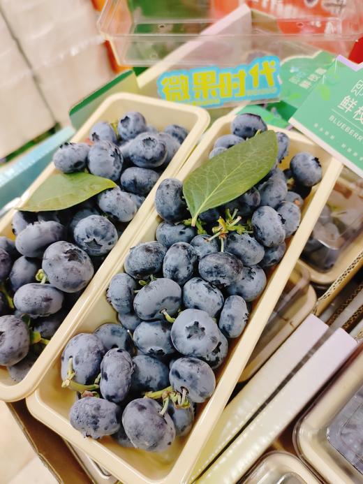 巨无霸串蓝莓一盒 商品图6