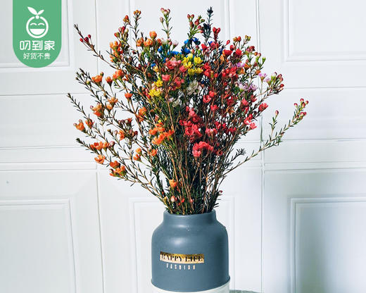 【预售-12月22日配送】混色开花腊梅/1扎（3-5枝） 商品图2