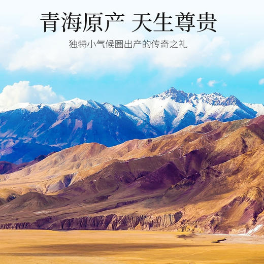 【冬季滋补】杞里香120g（15罐）礼盒装大果黑枸杞典藏甄选大果，三筛三选大果黑枸杞的10%，精挑细选饱满大果粒 商品图5