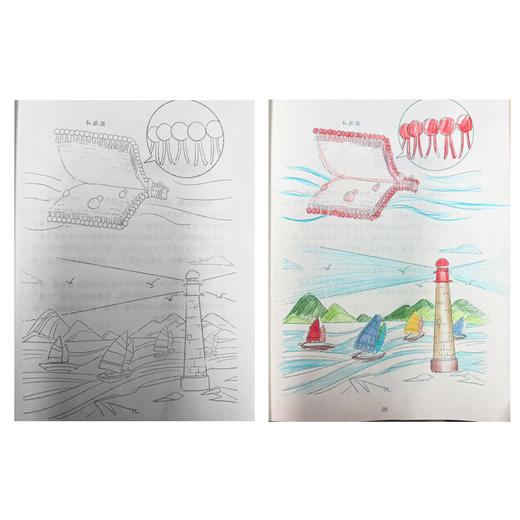 细胞简史（图文本） 可涂色 商品图2