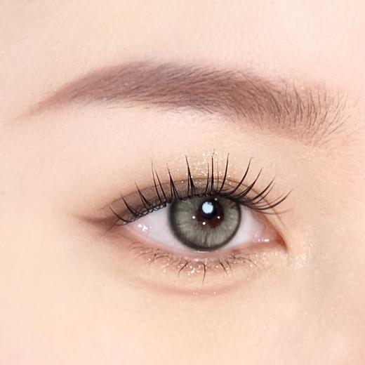 bollycon日抛 废土沙特/诱尾萝拉/青涩威廉 14.2mm 棕/蓝/灰/绿 日抛无售后！！ 商品图11