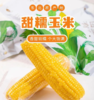 田里有草 甜糯玉米 |果蔬 商品缩略图2