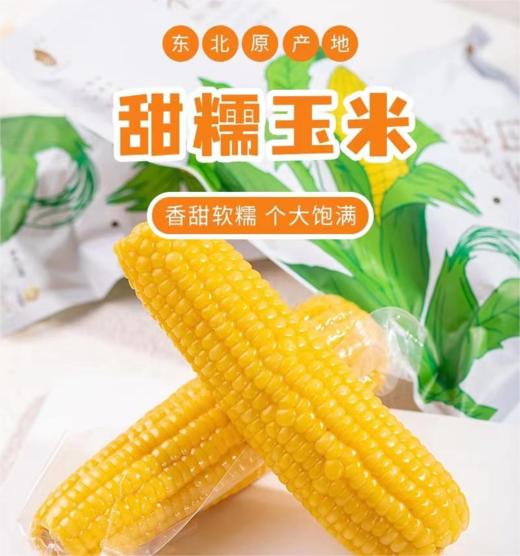 田里有草 甜糯玉米 |果蔬 商品图2