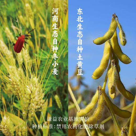 鲜露黄豆酱  | 古法工艺 无添加 | 公平贸易 * Fresh Dew Soybean Sauce 商品图4