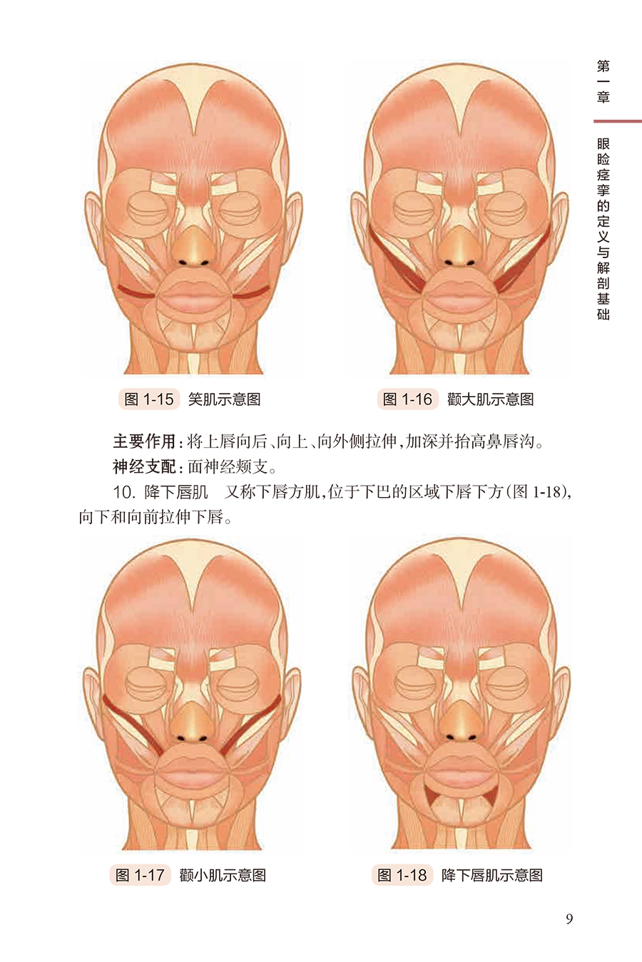 35257(yz) (9).jpg