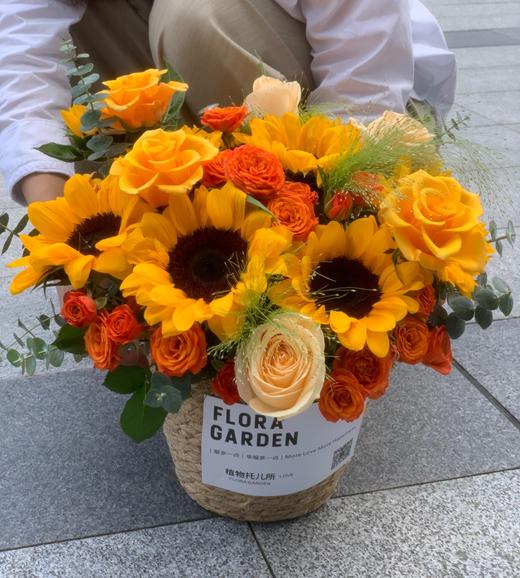 沐阳--向日葵抱抱桶 商品图1