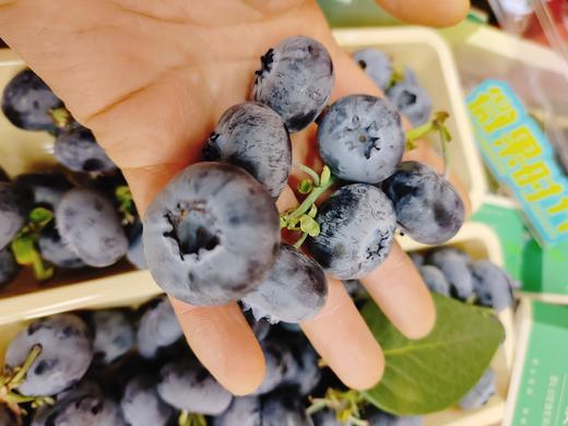 巨无霸串蓝莓一盒 商品图5