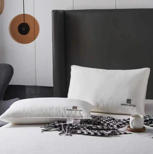 爱为家天丝棉枕 商品图0