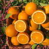 『湖南锦蜜冰糖橙』原生态老品种，个头小巧，甘甜爽口，饱满黄嫩 商品缩略图1