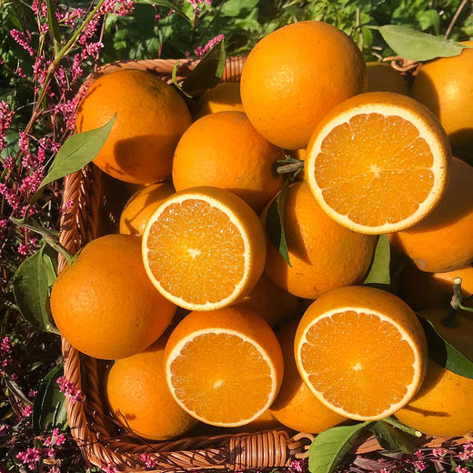 『湖南锦蜜冰糖橙』原生态老品种，个头小巧，甘甜爽口，饱满黄嫩 商品图1