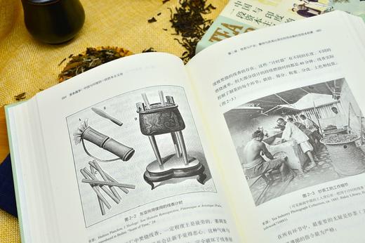 茶业战争：中国与印度的一段资本主义史 商品图6