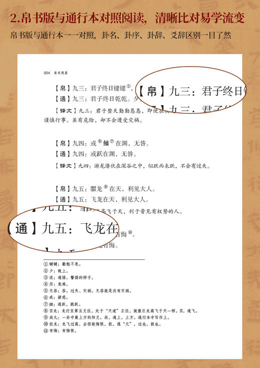 帛书周易 商品图10