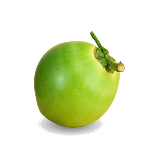 椰妃   冻干椰子肉片  酥脆清香 原汁原味健康零食每袋88克 商品图6