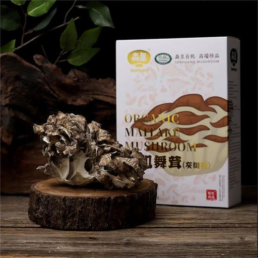 有机舞茸灰树花50g盒装庆元灰树花 商品图0