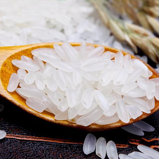 【谷大叔】五常大米红双层5kg  一年一稻 商品图2