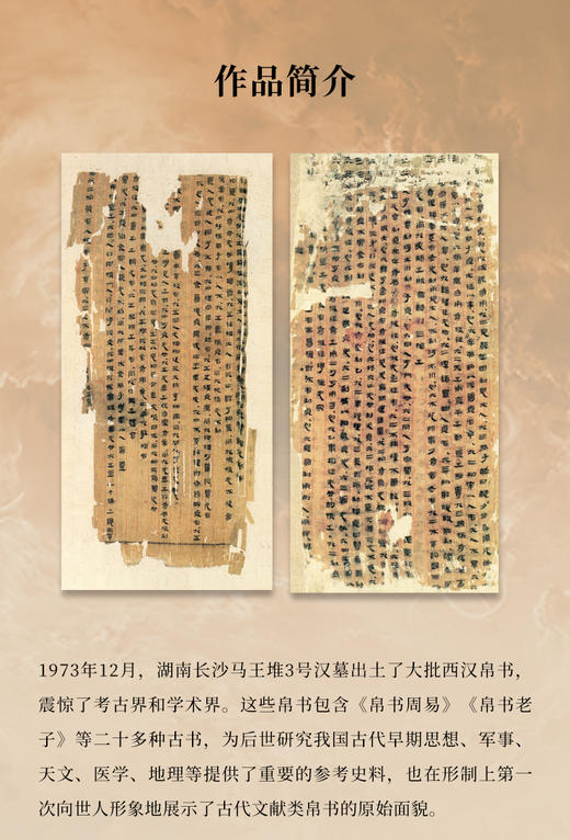 帛书周易 商品图5