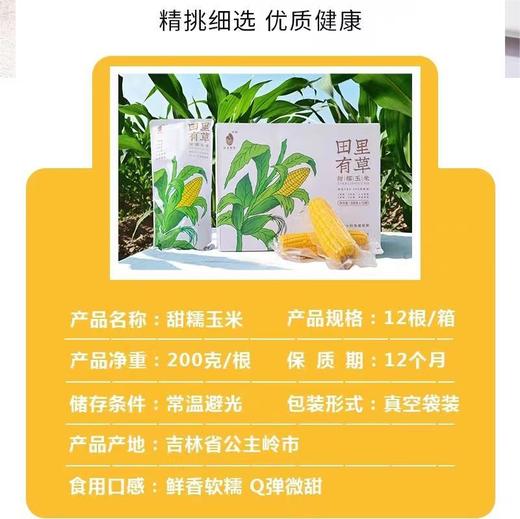 田里有草 甜糯玉米 |果蔬 商品图1