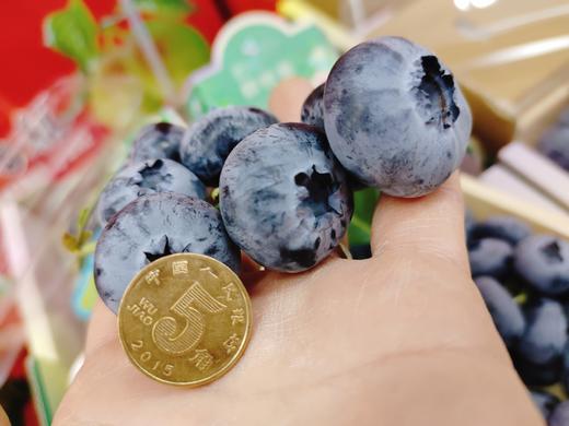 巨无霸串蓝莓一盒 商品图7