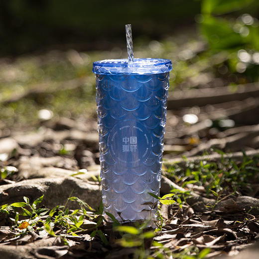 HX限量鱼麟杯星巴克同款潮流时尚炫彩杯/S723350009102 商品图2