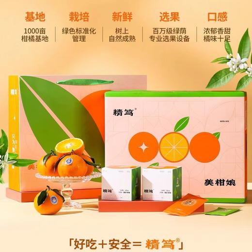 生态橘子 50年三代人 只为一颗好柑橘 6斤装 商品图4