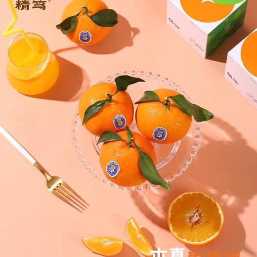 生态橘子 50年三代人 只为一颗好柑橘 6斤装 商品图3