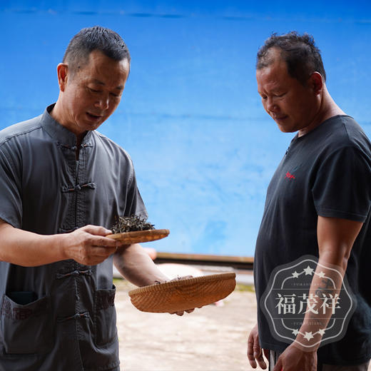 【2022年薄荷塘】头春普洱生茶茶易武薄荷塘纯料生茶357g饼茶 商品图1