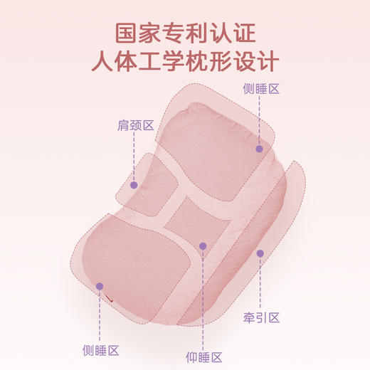 一人一枕焕颜枕（独立五分区设计） 商品图2