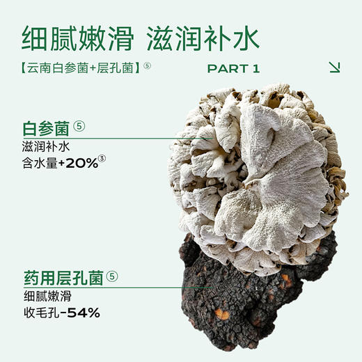 优理氏白参菌控油水乳洁面组合 控油细肤 清透肌底 水油平衡 补水保湿 改善肌肤油脂过多 油皮必备 - 新人专享价A 商品图4