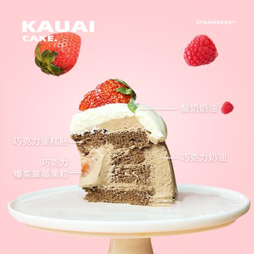烤爱·生日蛋糕系列·爆浆jellycat·草莓巧克力酸奶·可爱聚会生日节日【仅限深圳同城配送】 商品图3