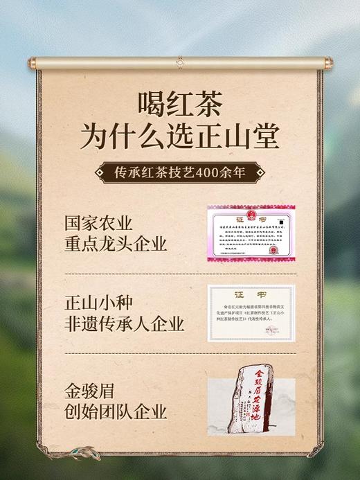正山堂 1568 正山小种 红茶特级 100g 商品图2