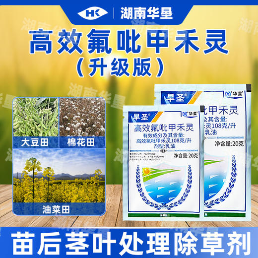 高效氟吡甲禾灵安徽华星旱圣牛筋草游草一年生禾本科杂草除草剂 商品图1