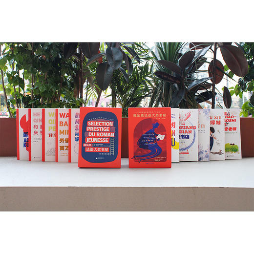 魔法象法语大奖书屋 合辑（全10册） 商品图10