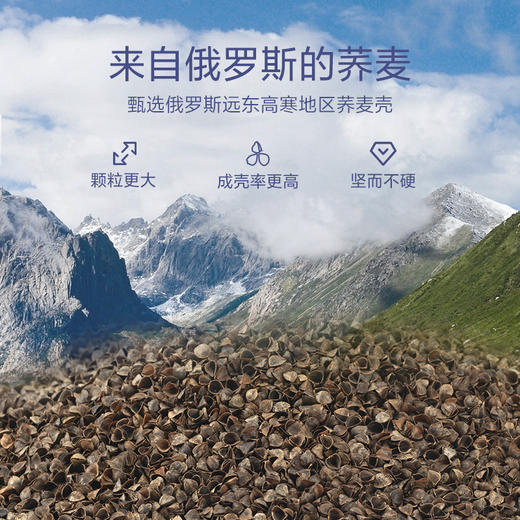 一人一枕四分区桧木枕 商品图2