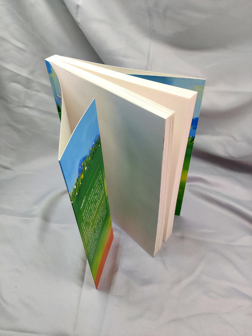 美好作文课 商品图2